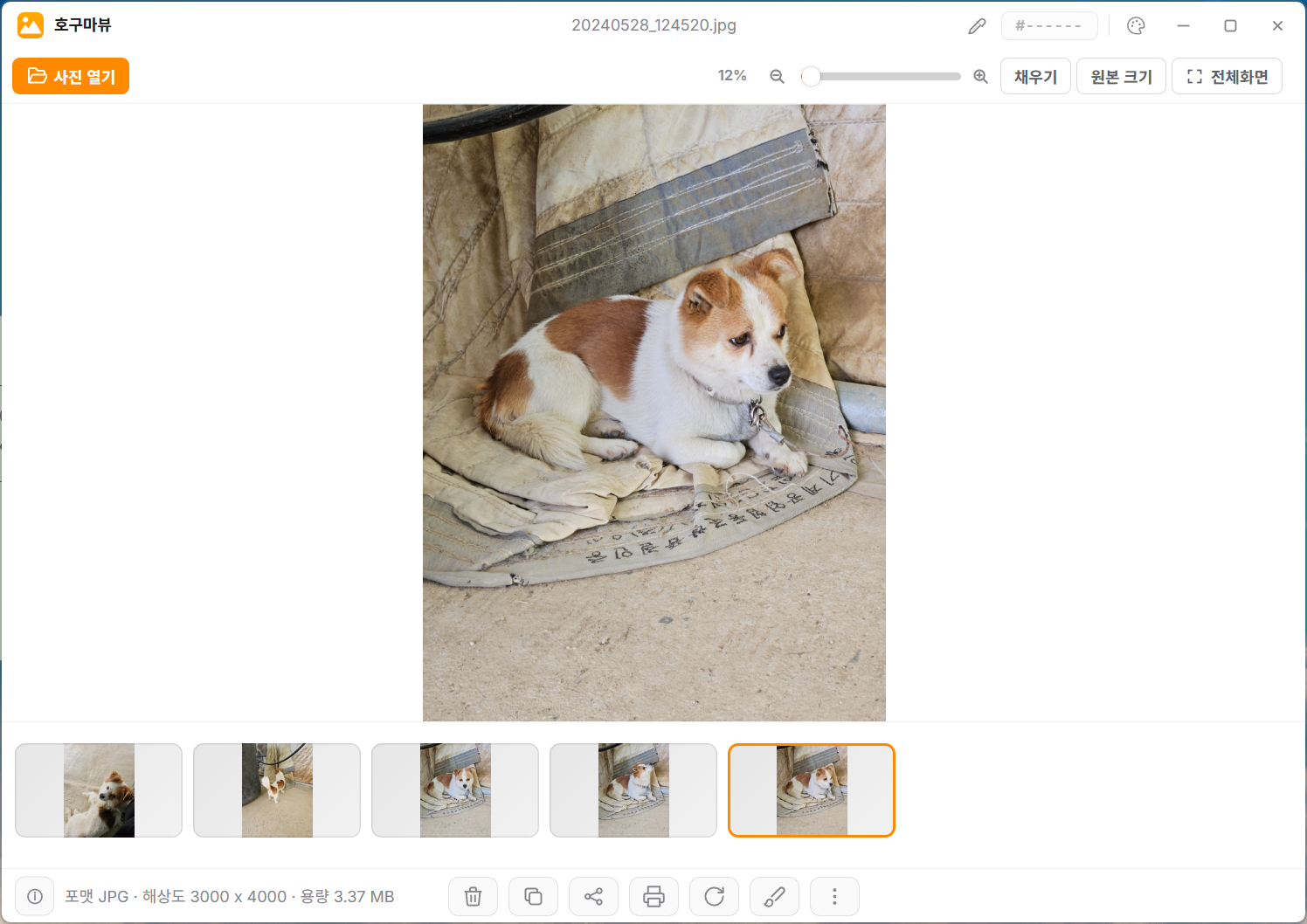호구마뷰 메인 화면